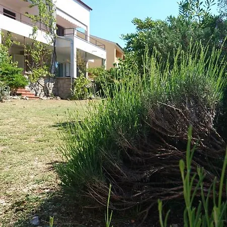 Sol *
