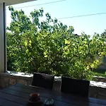 Sol Apartament