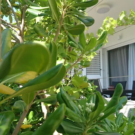 Apartman Sol