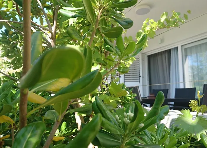 Apartmán Sol